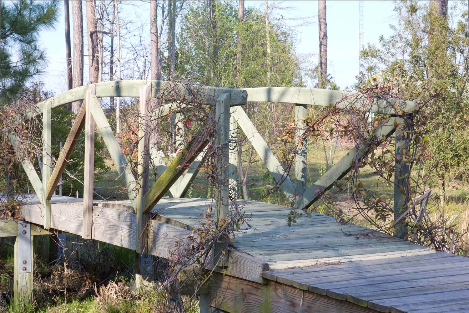 Atlantic Beach Custom cottage home design bridge